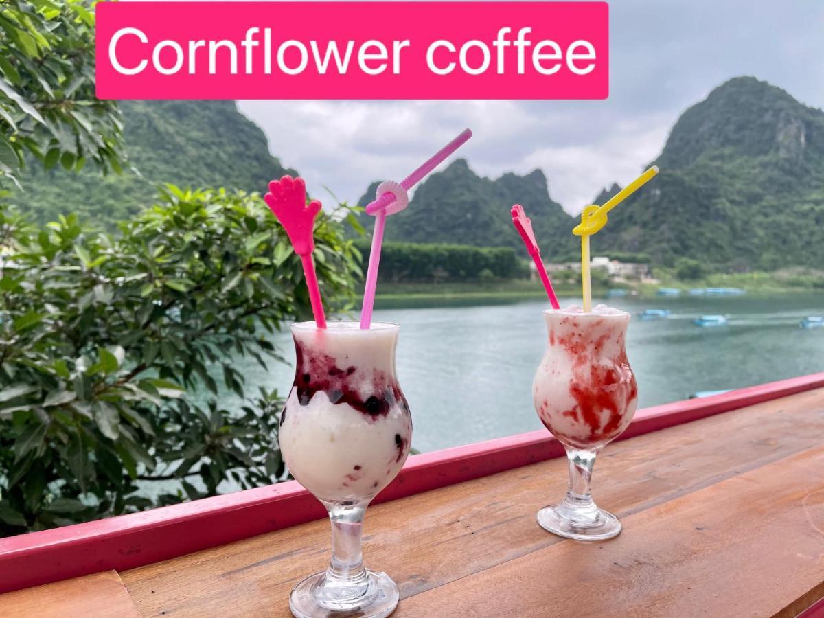 Cornflower Homestay Phong Nha Exteriér fotografie