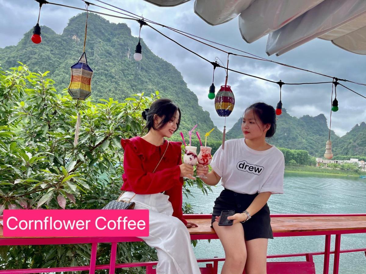 Cornflower Homestay Phong Nha Exteriér fotografie